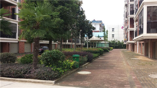 �������^